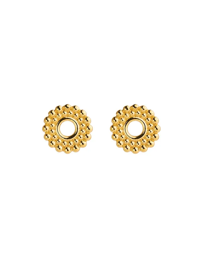 Nectar Yellow Gold Circle Studs