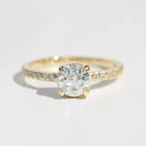 Oak Pavé Solitaire Ring | Moissanite   Lab Diamonds in 14k Yellow Gold