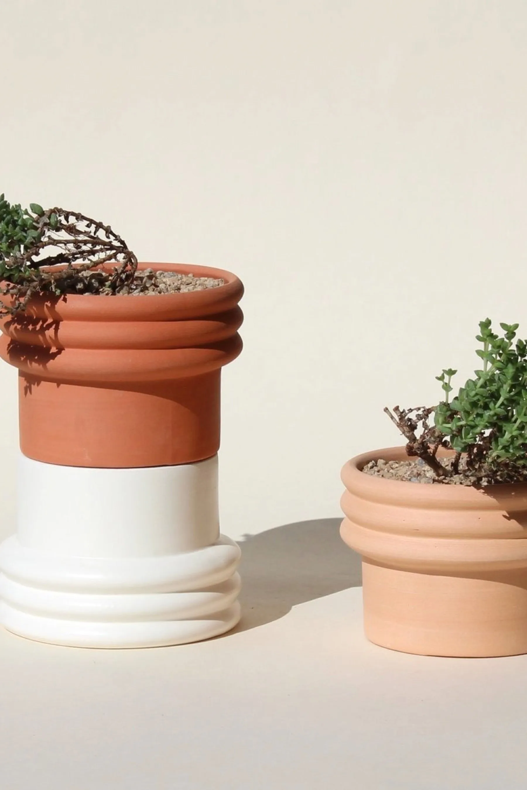 Terracotta Rings 2 Planter